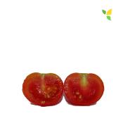Plant Tomate Cerise Zuckertaube Maraicher bio