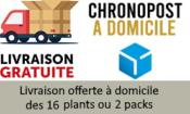 Pack "Les Incontournables" potager bio