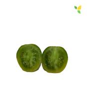 Plant Tomate Cerise Raisin Vert bio (Precommande)