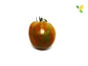 Plant Tomate Ancienne Black Zebra bio (Precommande)