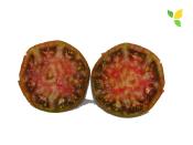 Plant Tomate Ancienne Noire de Crimée bio | Magasin Pro