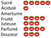 Plant Tomate Cerise Rouge Zuckertaube bio | Magasin Pro