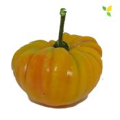 Plant Tomate Ancienne Ananas bio (Precommande)