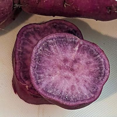 Plant patate douce Violette Beni Imo (Precommande]