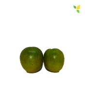 Plant Tomate Cerise Raisin Vert bio (Precommande)