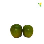 Plant Tomate Cerise Raisin Vert Maraicher bio