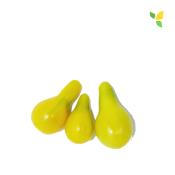 Plant Tomate Poire Jaune Maraicher bio