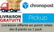 Pack "Les Incontournables" potager bio