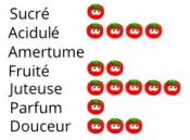 Plant Tomate Ancienne Ananas bio | Magasin Pro