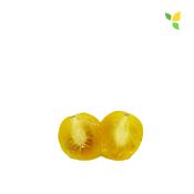Plant Tomate Cerise Jaune Golden Nugget bio (Precommande)