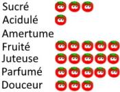 Plant Tomate Ancienne Reine d'Or bio | Magasin Pro