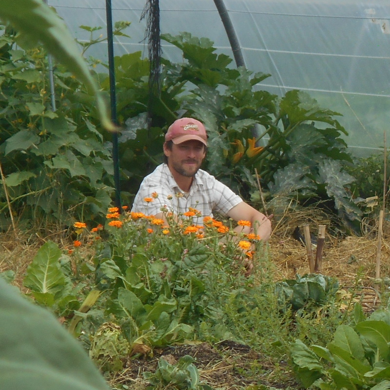 Maraicher bio Haute Vienne Arnaud partenaire Plantzone