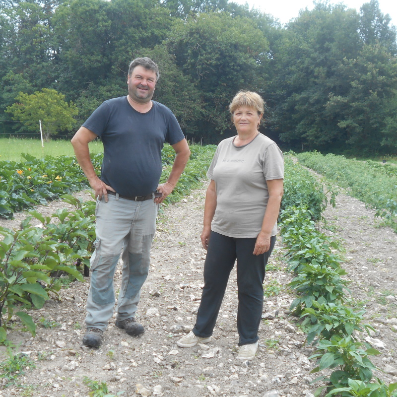 Maraichers bio Dordogne Didier et Christiane partenaires Plantzone