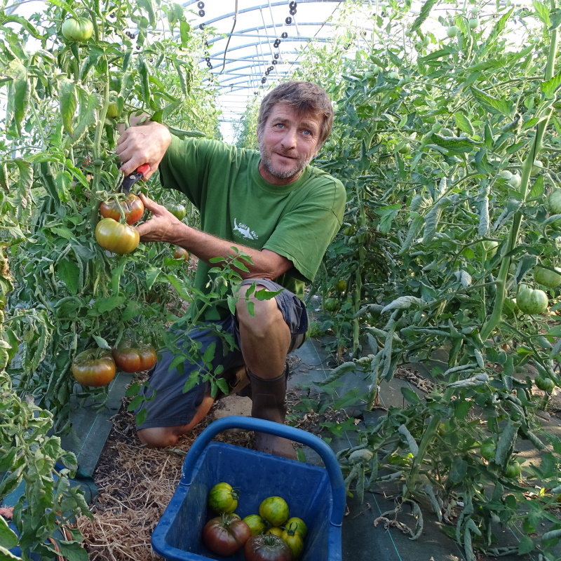 Maraicher bio Haute Vienne Olivier Dougy Plantzone