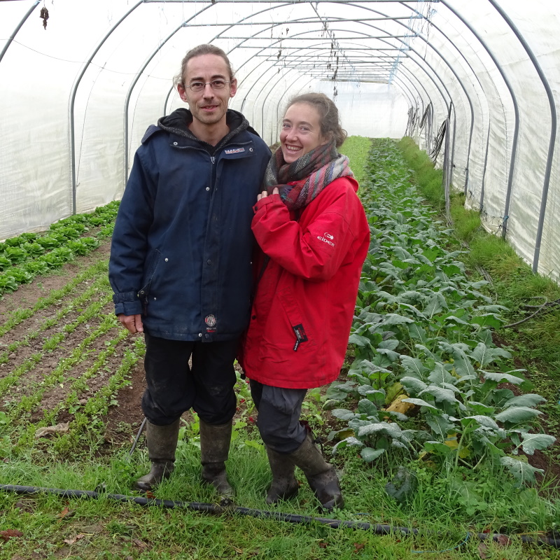 Maraicheres bio Dordogne Anas et Basile Plantzone