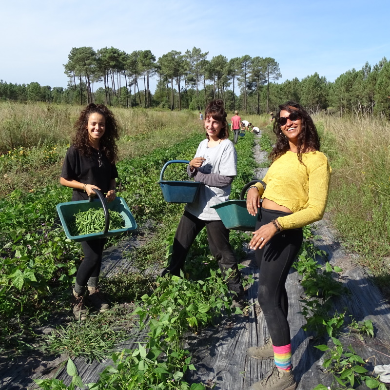 Maraicheres stagieres bio Gironde Sana, Marjorie, Mauranne partenaires Plantzone