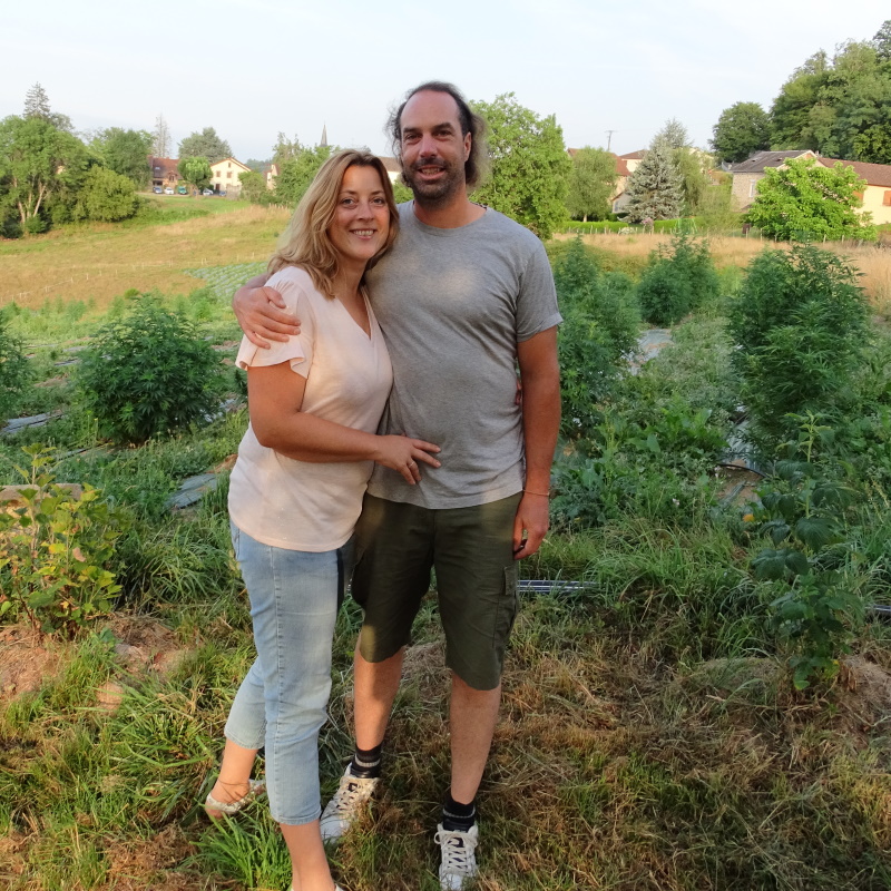 Maraicheres bio Haute Vienne Isa et Aurlien Heyman Plantzone