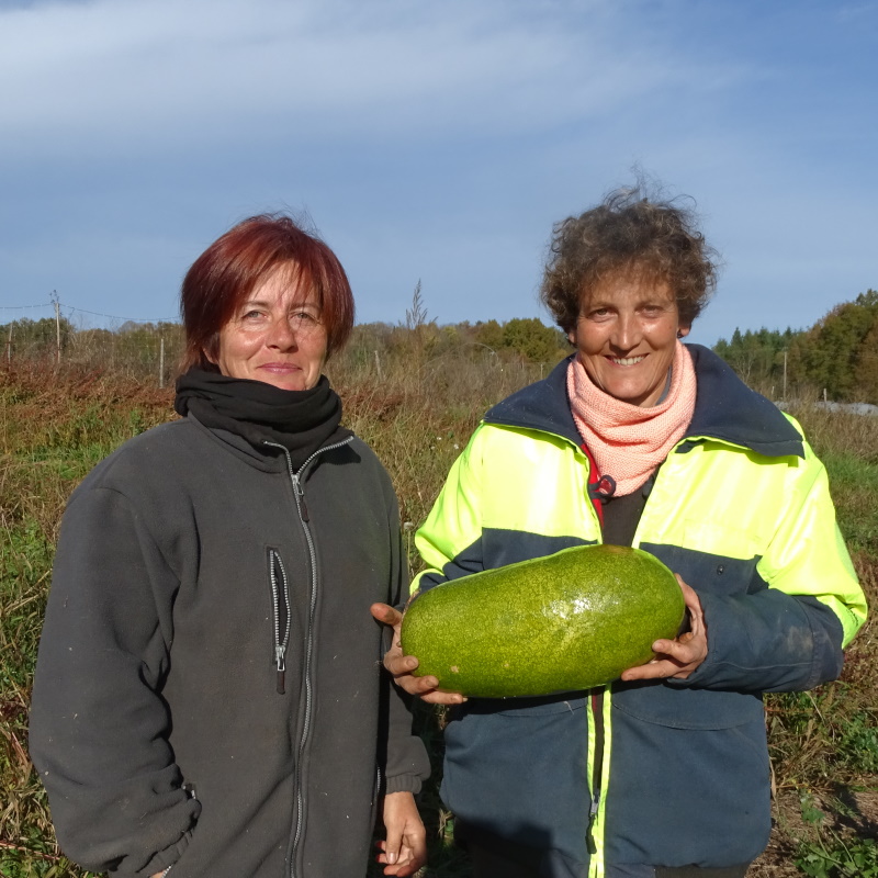 Maraicheres bio Dordogne Bernadette et Sandrine Plantzone