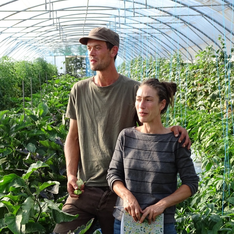 Maraicheres bio Dordogne Nadge et Jonathan Ghazi-Nouri Plantzone